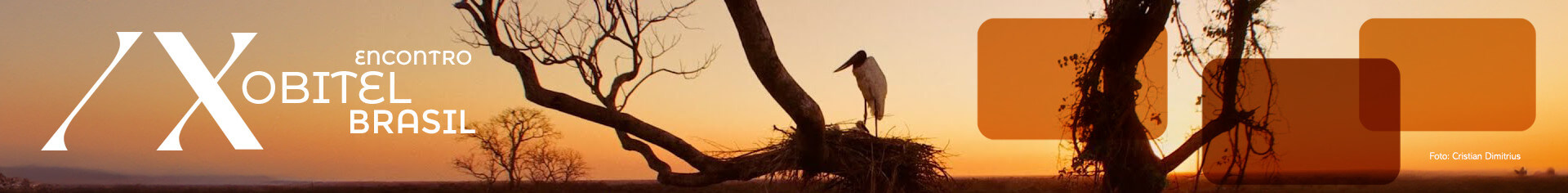 Encontro OBITEL Brasil